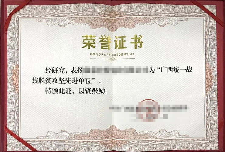 Certificate of Honor 6